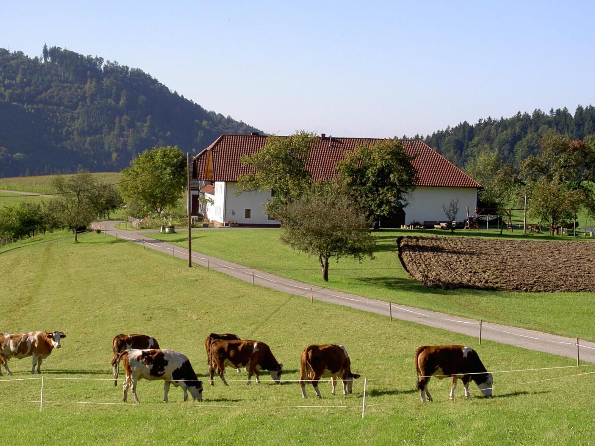 Urlaub Am Bauernhof Wenigeder - Familie Klopf Villa Gutau Bagian luar foto