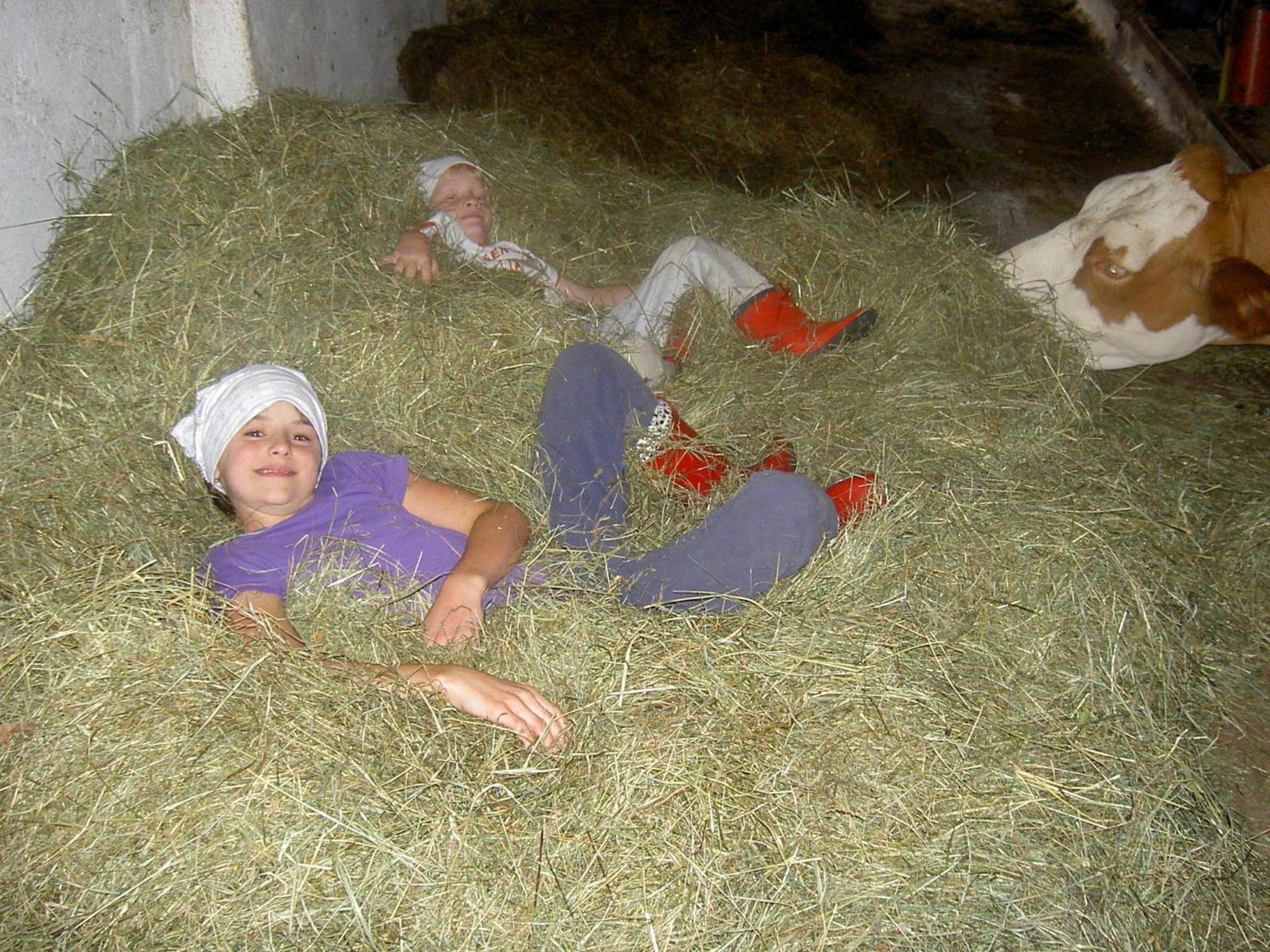 Urlaub Am Bauernhof Wenigeder - Familie Klopf Villa Gutau Bagian luar foto